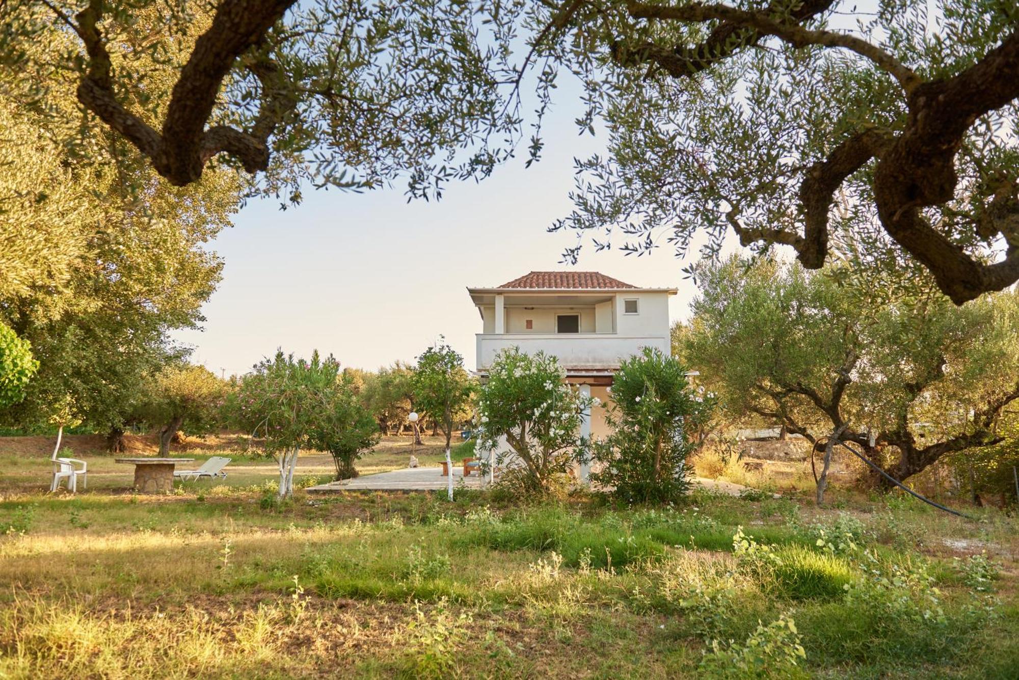 Villa Rania / Zante Drosia Kypseli Ngoại thất bức ảnh