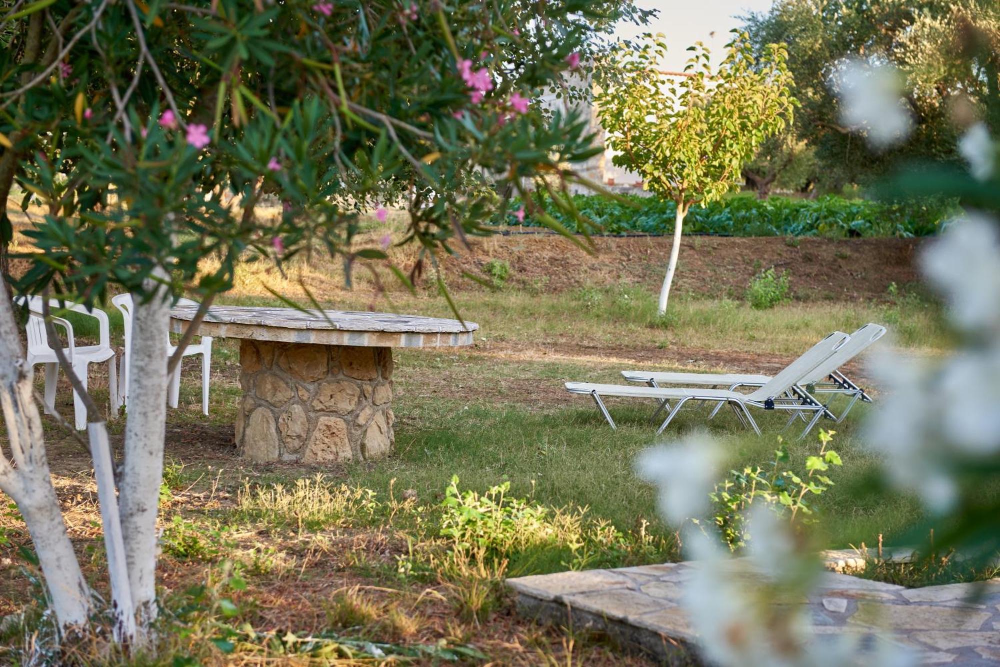 Villa Rania / Zante Drosia Kypseli Ngoại thất bức ảnh