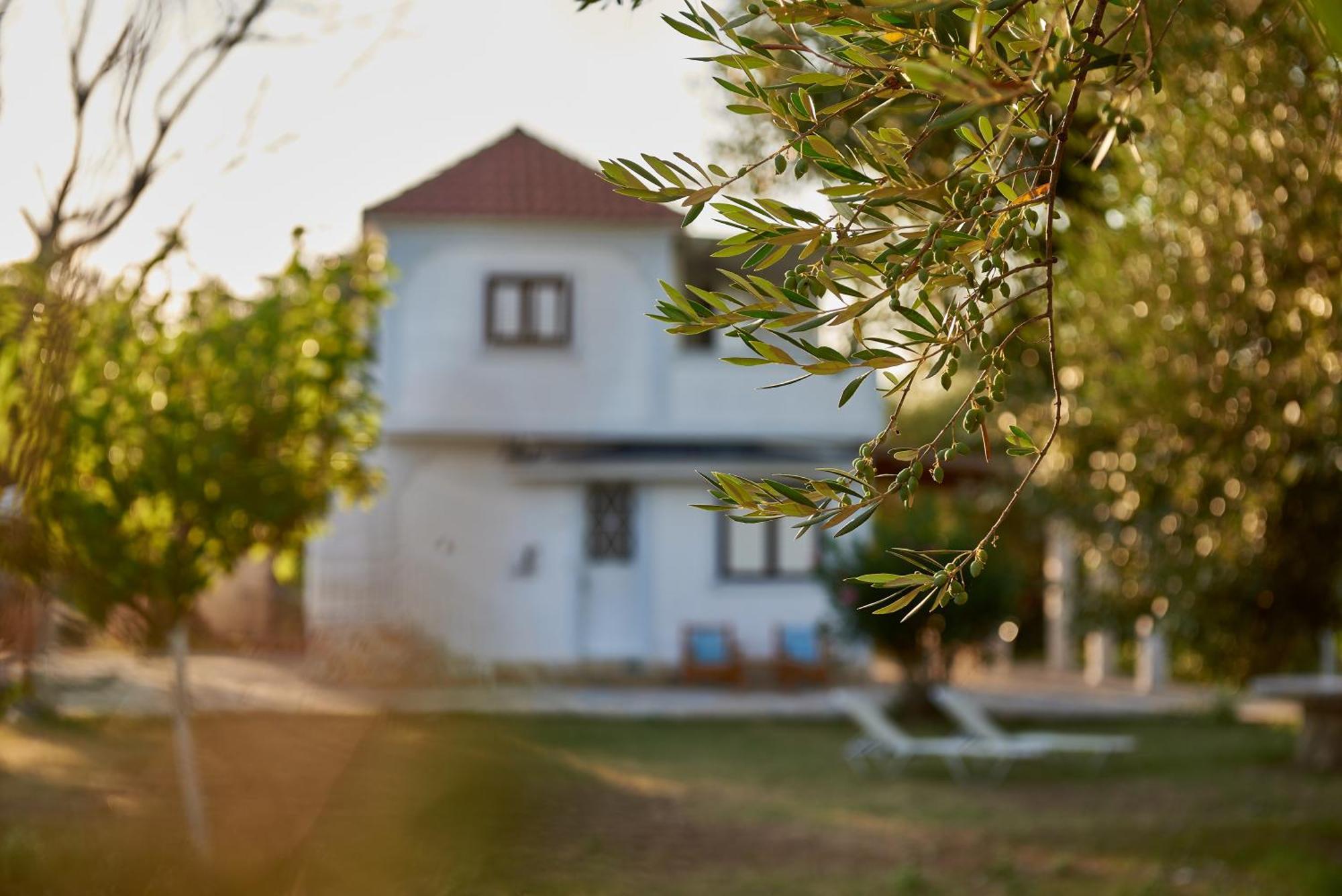 Villa Rania / Zante Drosia Kypseli Ngoại thất bức ảnh