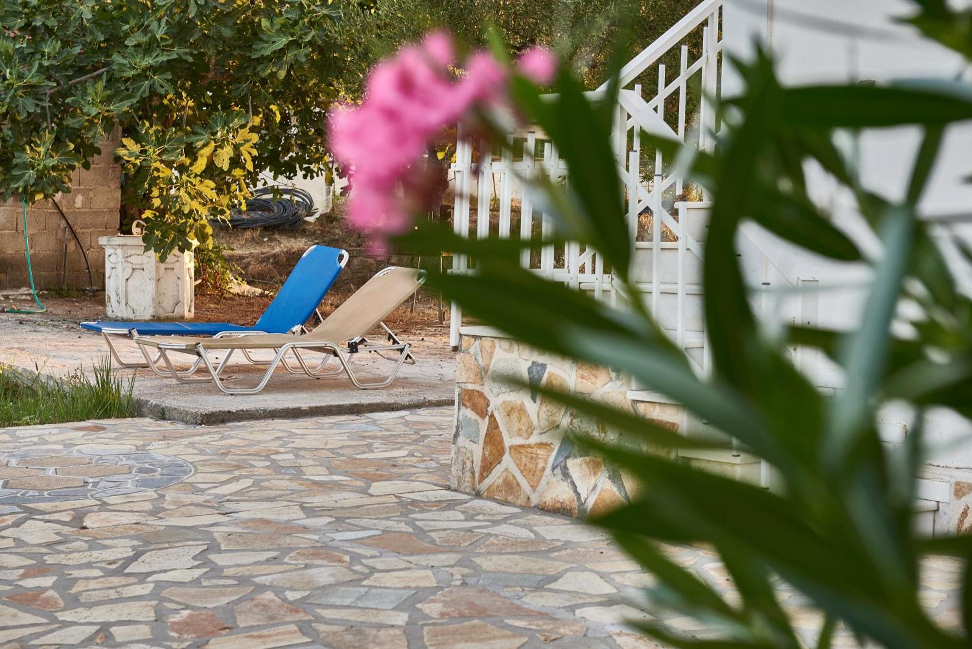 Villa Rania / Zante Drosia Kypseli Ngoại thất bức ảnh
